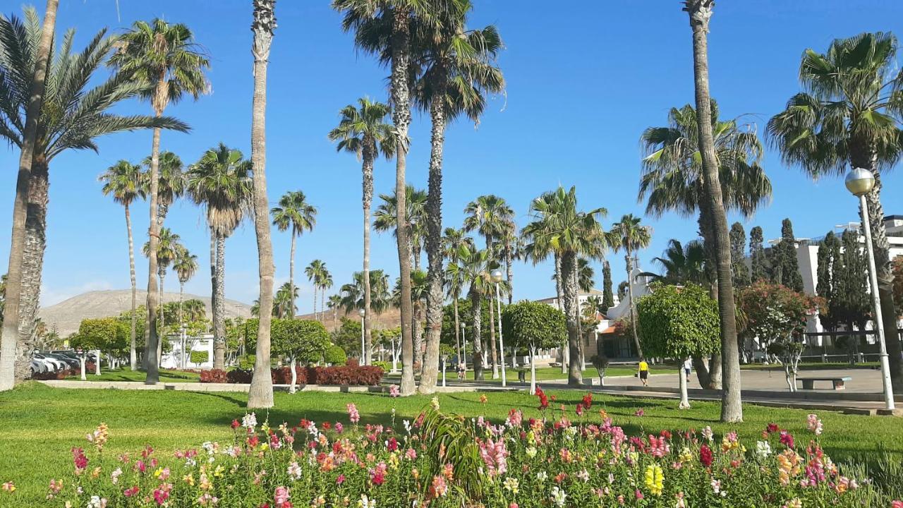 Comfortable Apartment In Las Americas, Ph317 With Pool Next To The Ocean Playa de las Américas Exterior foto
